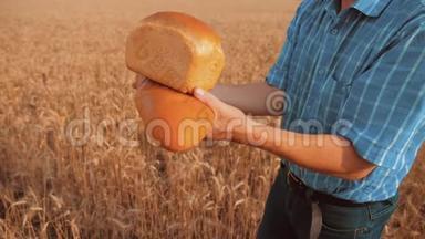 <strong>老农</strong>夫面包师拿着一个金色的面包和面包在麦田对抗蓝天。 慢视频生活方式